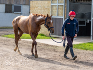 BP200326-55 - It's Hard To Know